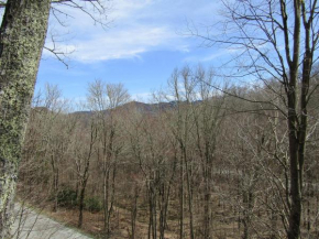 Sugar Mountain Drive 1866 Home